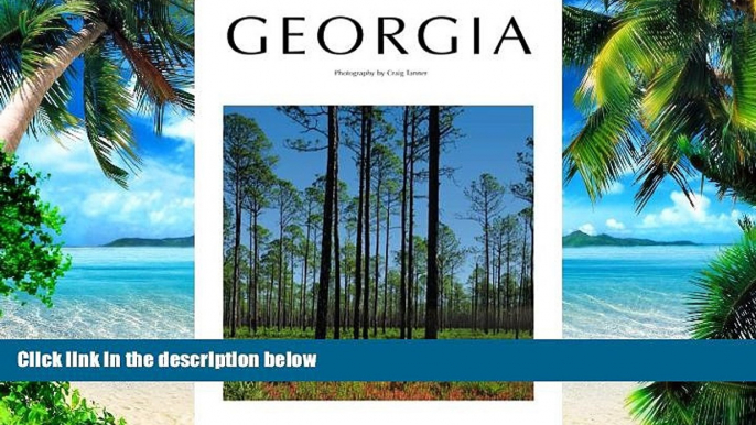 Rheta Grimsley Johnson Georgia  Epub Download Download