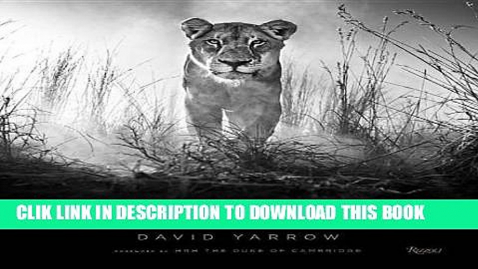 Ebook Wild Encounters: Iconic Photographs of the World s Vanishing Animals and Cultures Free Read