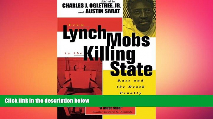 PDF [DOWNLOAD] From Lynch Mobs to the Killing State: Race and the Death Penalty in America (The