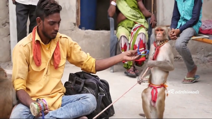 Latest Most Funniest Monkey Circus Show Ever Seen | Indian Funny Videos | AR Entertainments