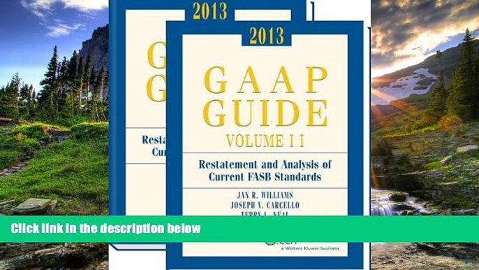 READ THE NEW BOOK GAAP Guide (2013) BOOOK ONLINE