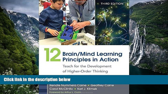 Big Sales  12 Brain/Mind Learning Principles in Action: Teach for the Development of Higher-Order