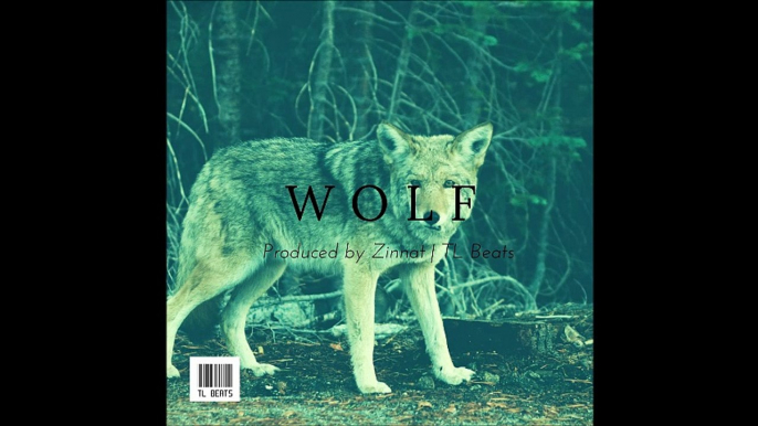 Dope Hip Hop Instrumental Rap Beat 2016 | "Wolf" | TL Beats