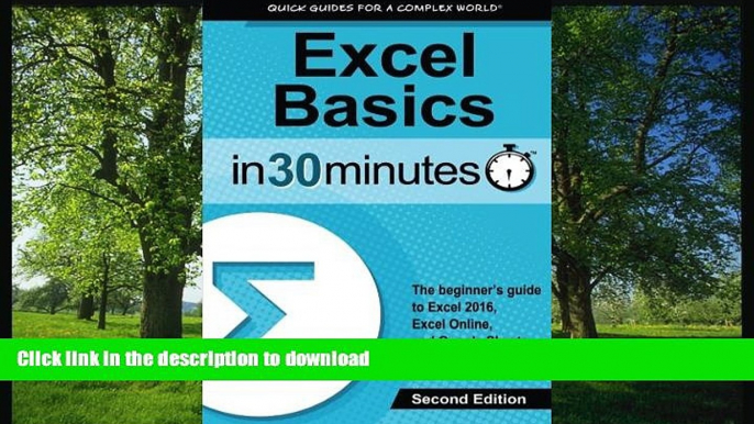 FAVORITE BOOK  Excel Basics In 30 Minutes (2nd Edition): The quick guide to Microsoft Excel and