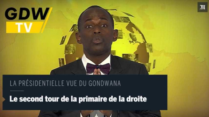 Gondwana TV : " La France est un pays africain"