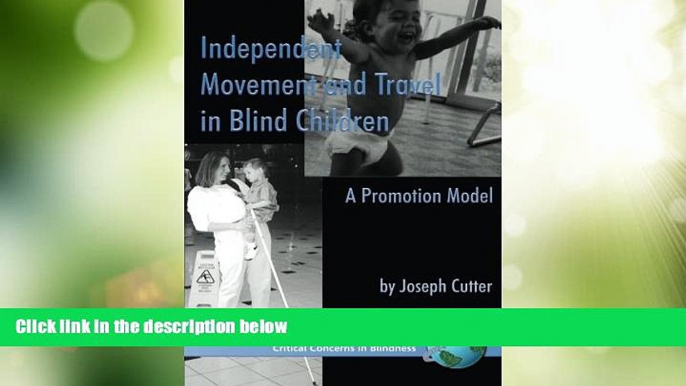 Price Independent Movement and Travel in Blind Children: A Promotion Model (PB) (Critical Concerns