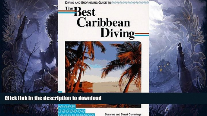 READ  Diving and Snorkeling Guide to the Best Caribbean Diving (Lonely Planet Diving   Snorkeling