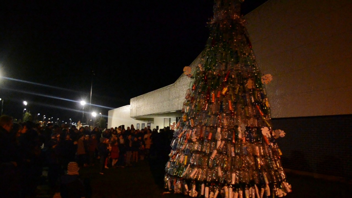 Le sapin aux 3 000 bouteilles (vendredi 2 décembre 2016)