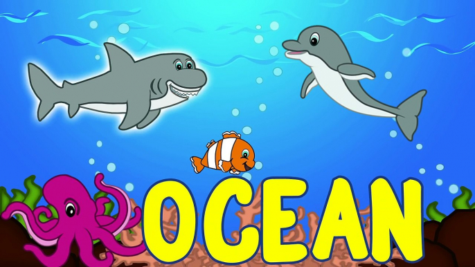 Ocean Animals for Kids - Sea Animal Songs for Children - Learning to Spell - Toddlers Preschool