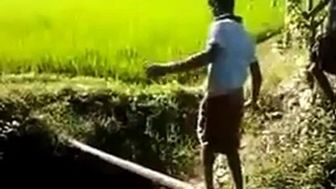 Funny Accident in Kerala India __ Funny Indian WhatsApp Videos Compilation