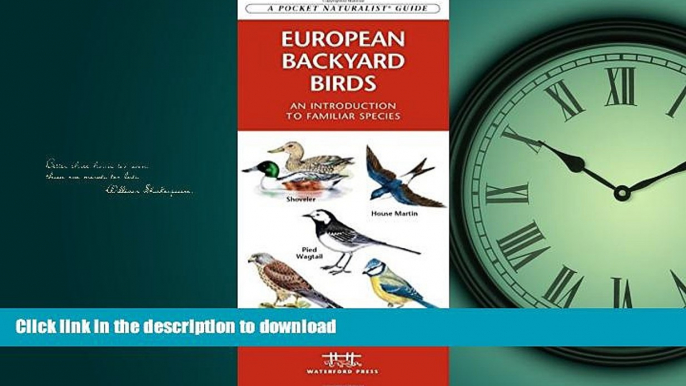 FAVORITE BOOK  European Backyard Birds: A Folding Pocket Guide to Familiar Species (Pocket