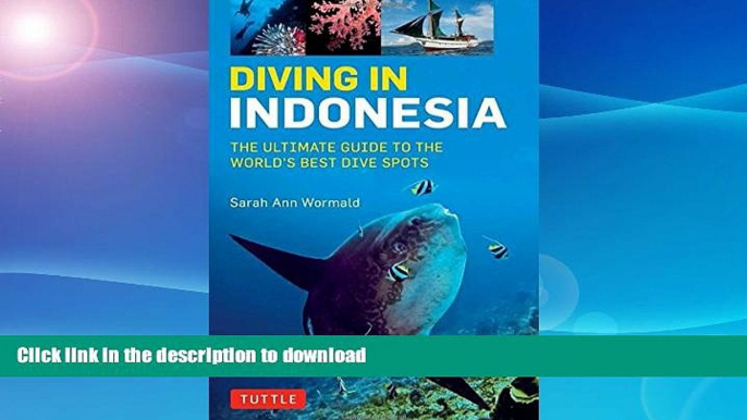 READ BOOK  Diving in Indonesia: The Ultimate Guide to the World s Best Dive Spots: Bali, Komodo,