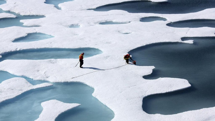 Alterações climáticas ameaçam ecossistemas na Terra (relatórios científicos)