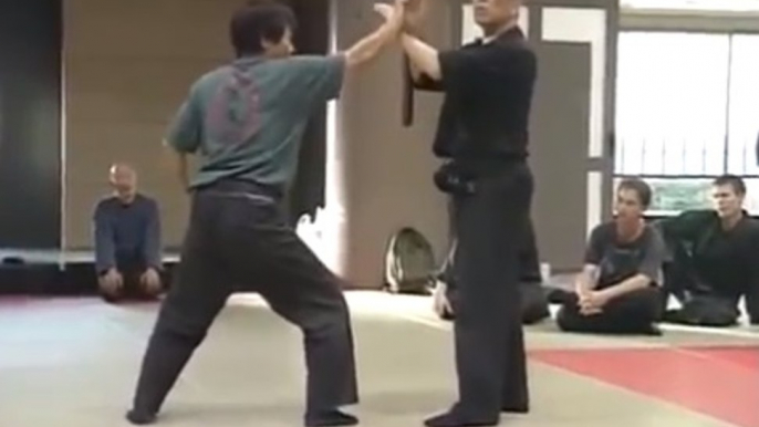 Ninjutsu Masaaki Hatsumi