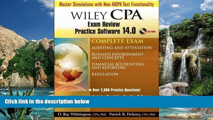 Buy Patrick R. Delaney Wiley CPA Examination Review Practice Software 14.0 Complete Exam: Auditing