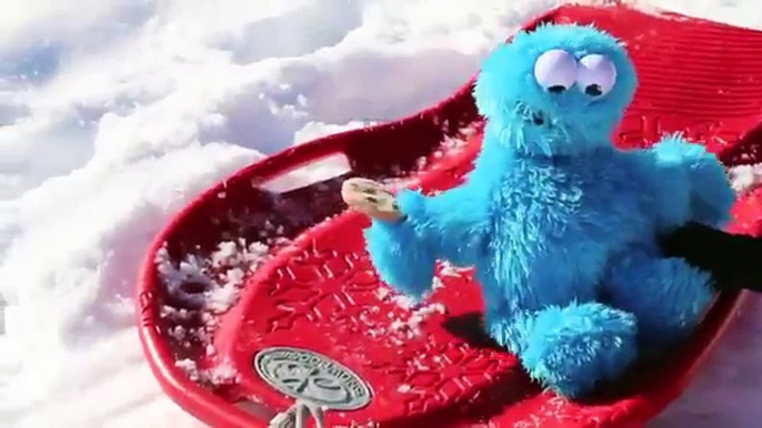 Cookie Monster Driving a Sled Crashing Falling Cookie Monster Sledding Too Icy for Cozy Coupe