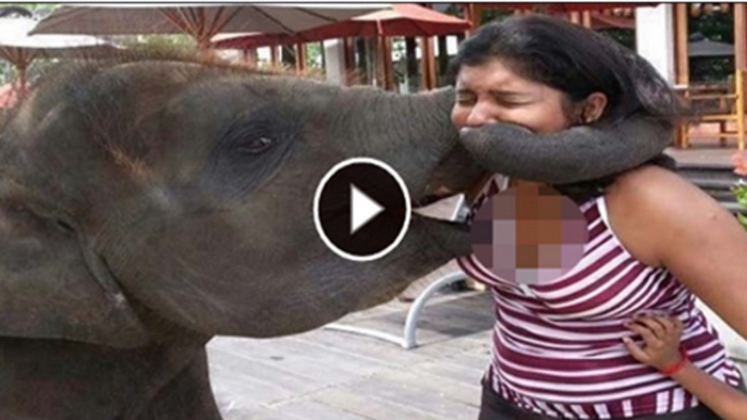 Love of Tourists in Thailand with elephant in Thailand