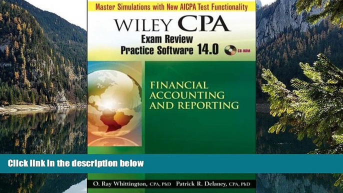 Online Patrick R. Delaney Wiley CPA Examination Review Practice Software 14.0 Financial Accounting