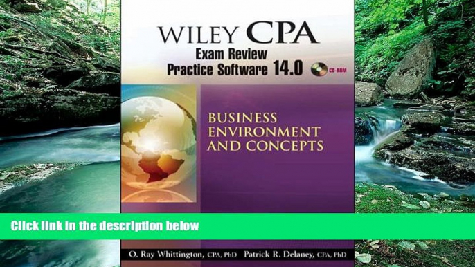 Buy Patrick R. Delaney Wiley CPA Examination Review Practice Software 14.0 Business Environment