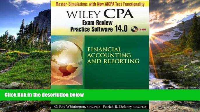 READ THE NEW BOOK Wiley CPA Examination Review Practice Software 14.0 Financial Accounting and