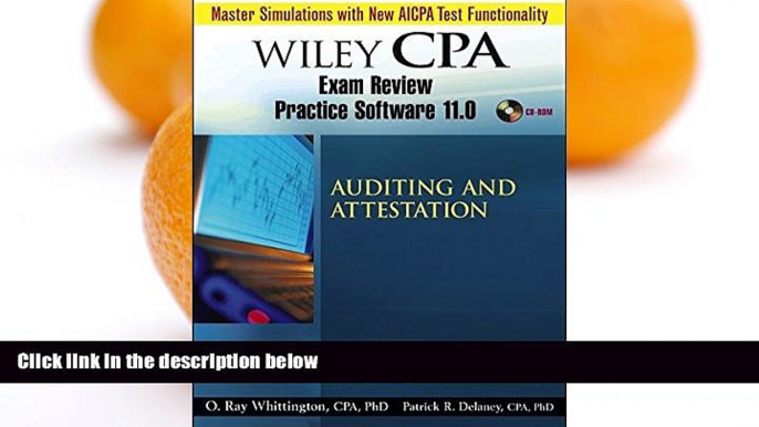 Pre Order Wiley CPA Examination Review Practice Software-Audit 11.0 Patrick R. Delaney mp3