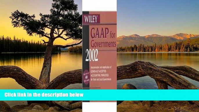 Buy Warren Ruppel Wiley GAAP for Governments 2002, Set, Contains: GAAP for Governments 2002 book