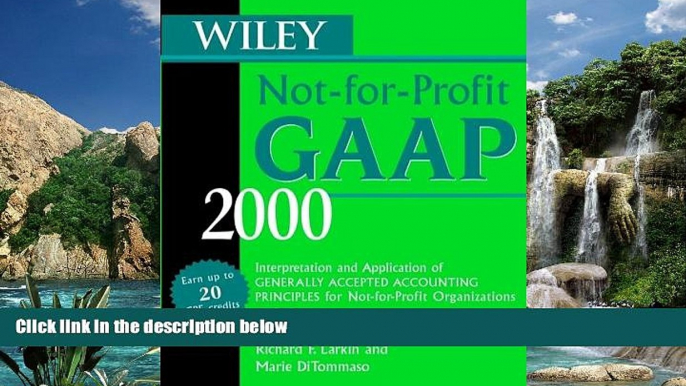 Online Richard F. Larkin Wiley Not-for-Profit GAAP 2000: Interpretation and Application of