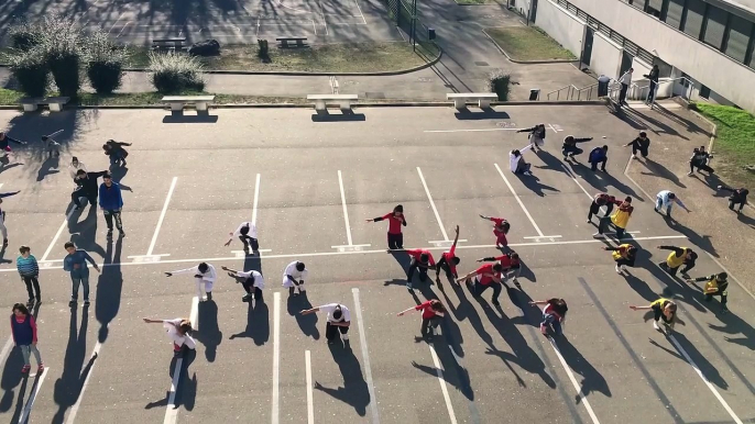 Concours flashmob UNSS Championnat du Monde de handball 2017, College André MALRAUX, MONTEREAU FAULT YONNE