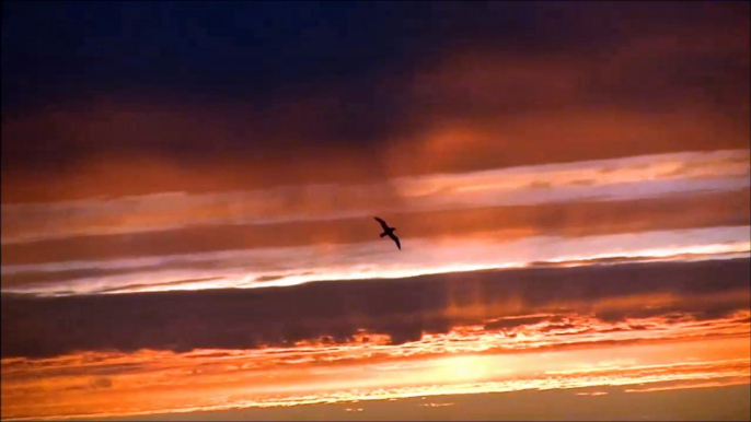 J30 : Magnifique coucher de soleil filmé par Yann Eliès / Vendée Globe