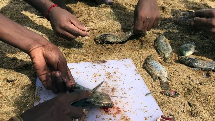 Street Food Around The World - Amazing Kid Catching Fish With His Bare Hands - Cooking Fresh Fish Fries