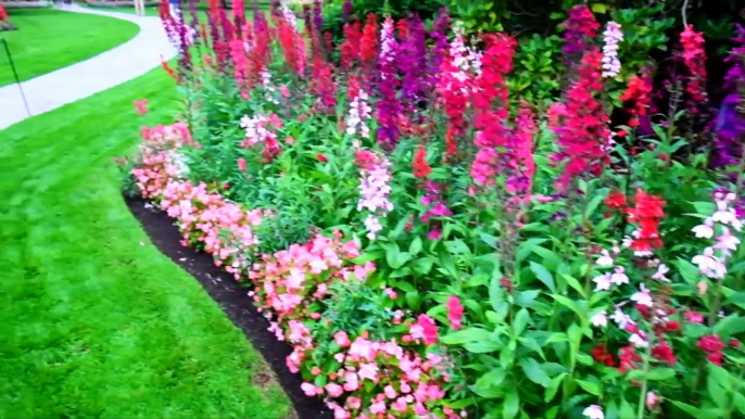 Most beautiful flower gardens in Canada, Butchart Gardens