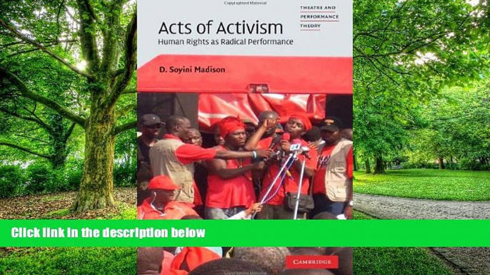 Best Price Acts of Activism: Human Rights as Radical Performance (Theatre and Performance Theory)