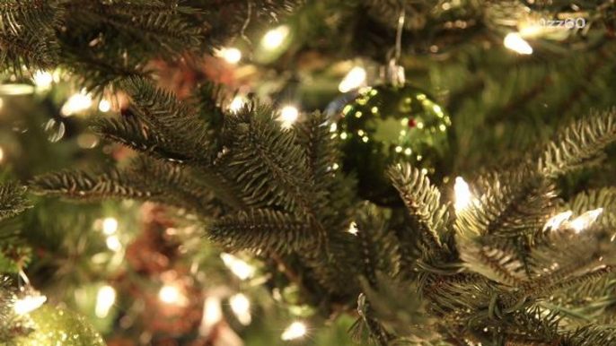 Tips to Make Your Christmas Tree Last Longer