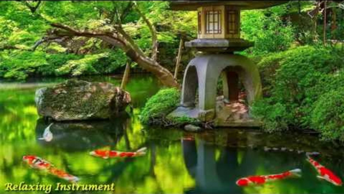 Best Traditional Japanese Music - Relaxing Music for Stress Relief and Healing