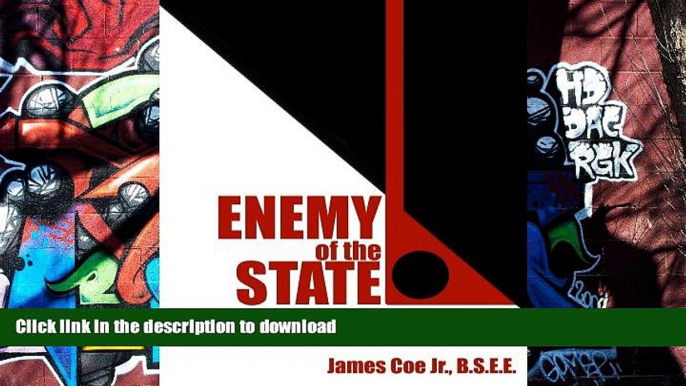 Hardcover ENEMY OF THE STATE: DISPARATE TREATMENT: IT S DANGEROUS TO BE RIGHT WHEN THE GOVERNMENT