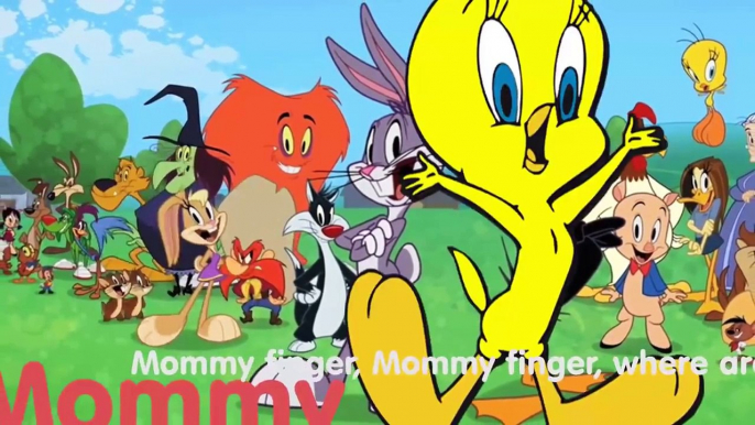 Looney Tunes Finger Family Collection Baby Looney Tunes Cartoon Animation Preschool Education