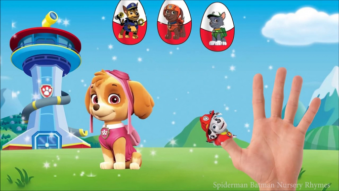 Paw Patrol Finger Family Song and Surprise Eggs - Nursery Rhymes Cartoon for Kids with Paw Patrol