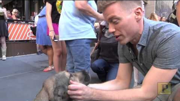 Barrett Foa Fawns Over Adorable Pooches at Broadway Barks 16