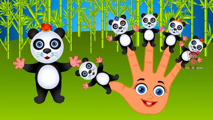 Panda Finger Family Nursery Rhyme | Panda Cartoons Finger Family Song - Rhymes for Children