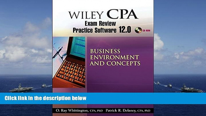 Price Wiley CPA Examination Review Practice Software 12.0 BEC Patrick R. Delaney On Audio