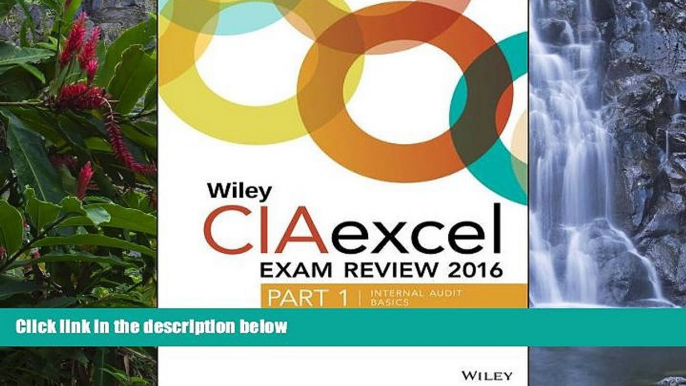 Download [PDF]  Wiley CIAexcel Exam Review 2016: Part 1, Internal Audit Basics (Wiley CIA Exam