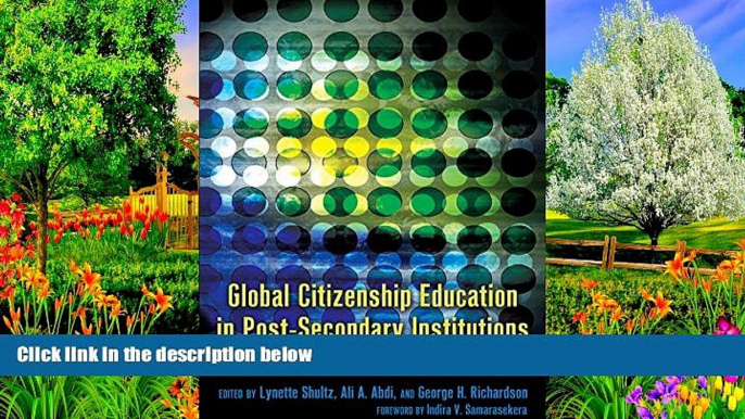 Buy  Global Citizenship Education in Post-Secondary Institutions: Theories, Practices, Policies-