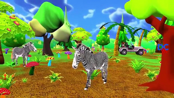 Zoo Animals Sounds For Children To Learn | Tiger Cheetah Lion Giraffe Animals Sounds For Kids