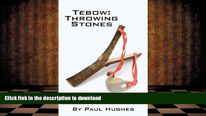 Read Book Tebow: Throwing Stones