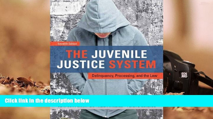 PDF [FREE] DOWNLOAD  The Juvenile Justice System: Delinquency, Processing, and the Law (7th