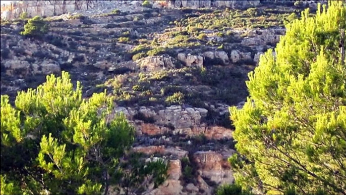 Psicofonías en Alcocebre IV (Montaña).