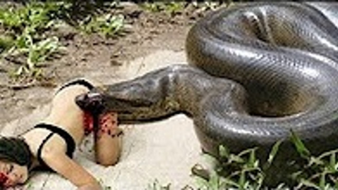 GIANT ANACONDA ATTACKS, WORLD S BIGGEST PYTHON SNAKE,Most GIANT ANACONDA ATTACKS – Shari