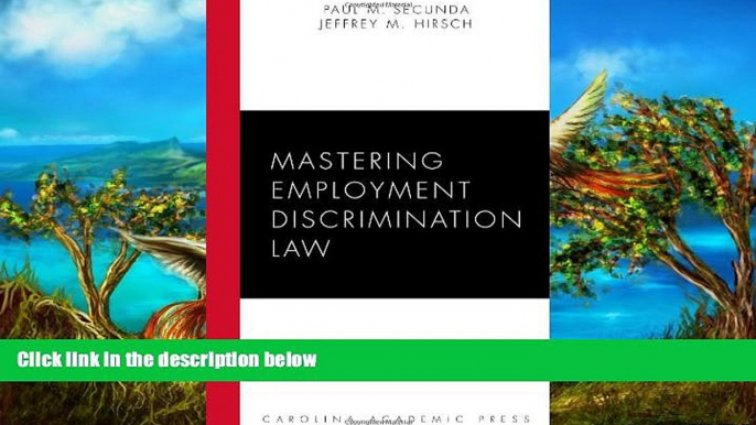 Buy Paul M. Secunda Mastering Employment Discrimination Law (Carolina Academic Press Mastering