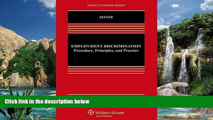 Online Joseph A. Seiner Employment Discrimination: Procedures, Principles and Practice (Aspen