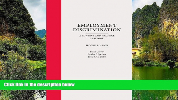 Online Susan Grover Employment Discrimination: A Context and Practice Casebook, Second Edition